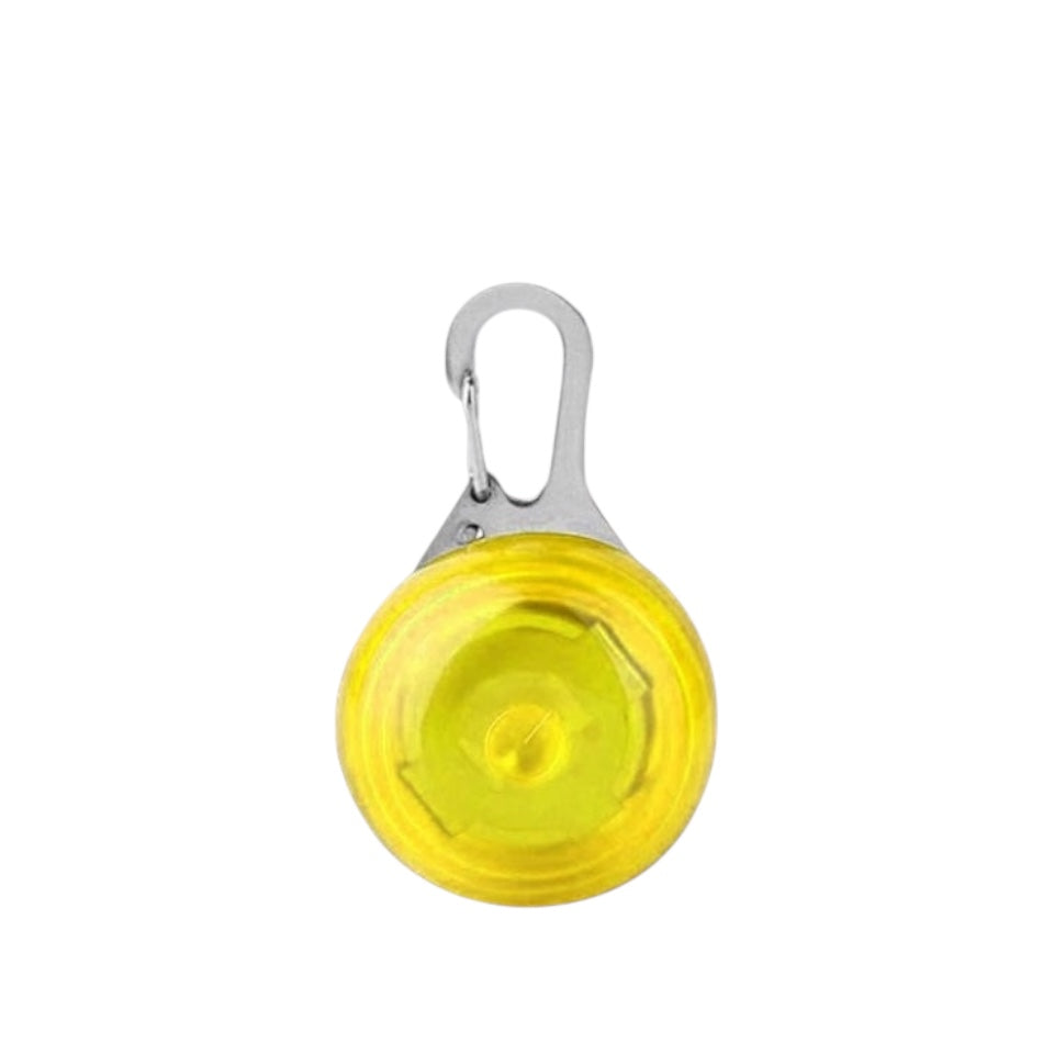 Portable Attachable Carabiner Light
