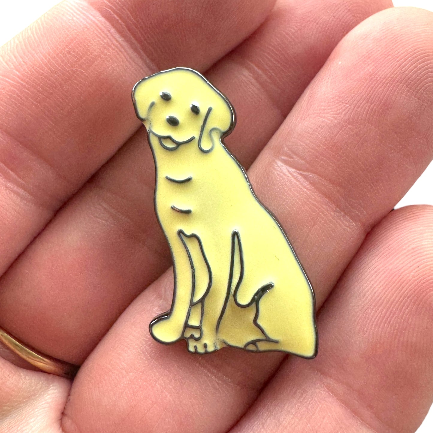 Pin — Labrador