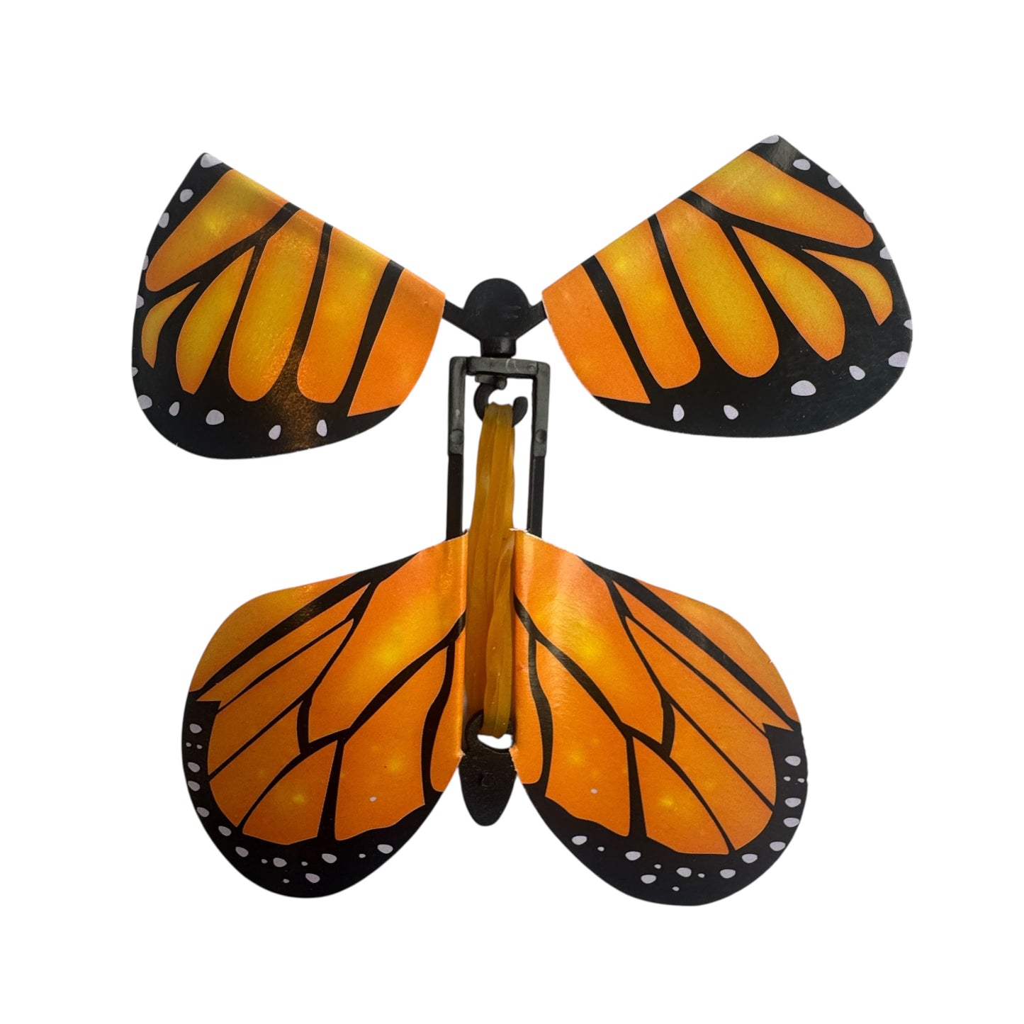Experience — 3D Butterflies