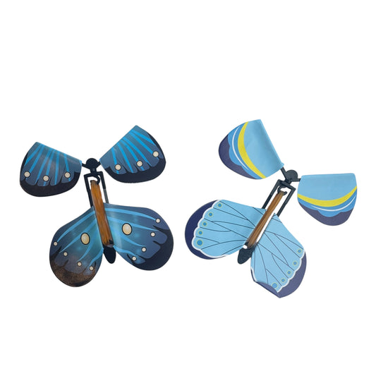 Experience β 3D Butterflies