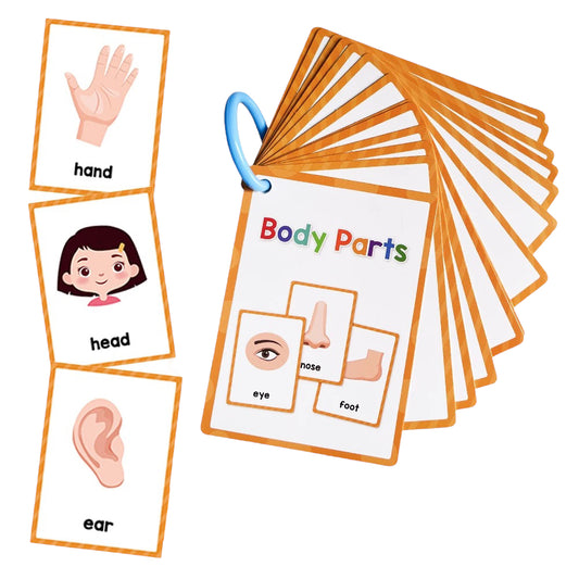 Communication Cards — Body Parts