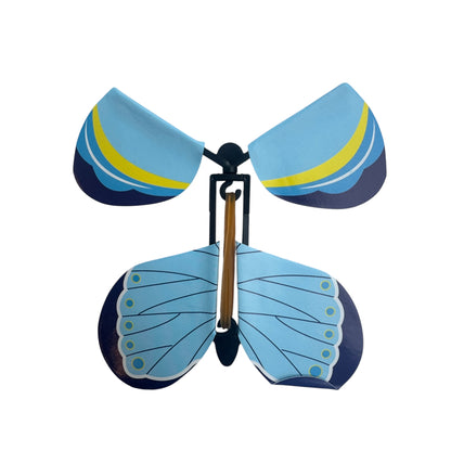 Experience — 3D Butterflies