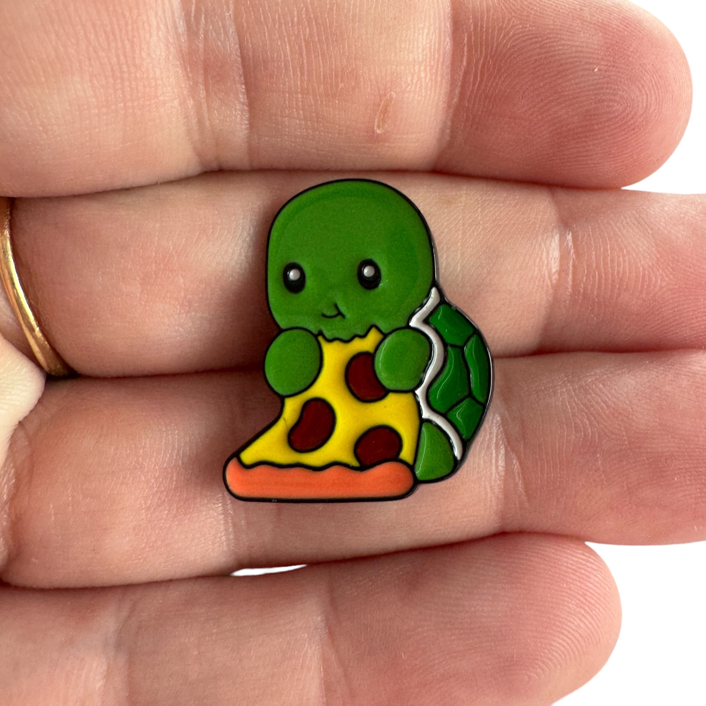 Pin — Introvert Turtle – Kylee & Co