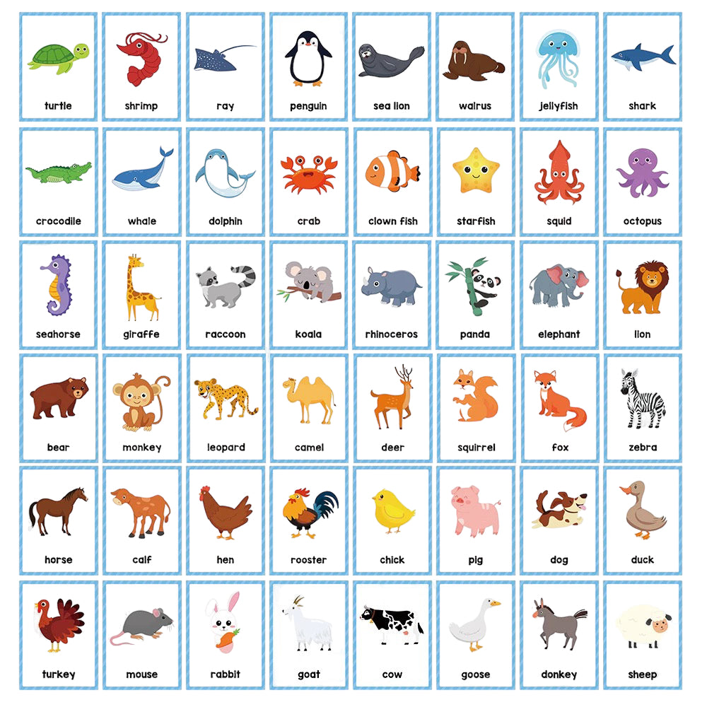 Communication Cards — Animals – Kylee & Co