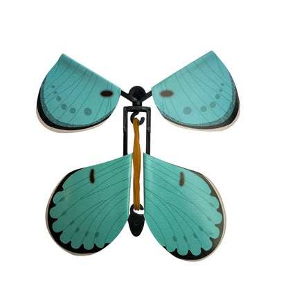 Experience — 3D Butterflies