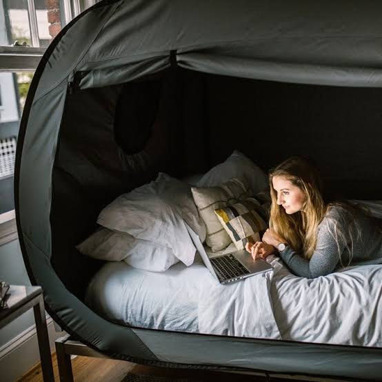 Travel Safe Bed Canopy Tent