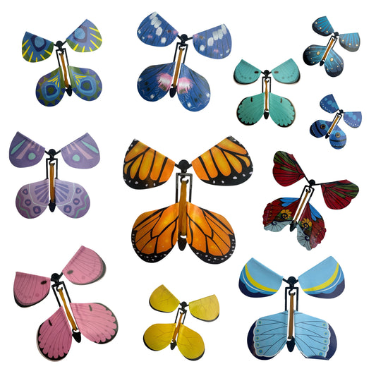 Experience — 3D Butterflies